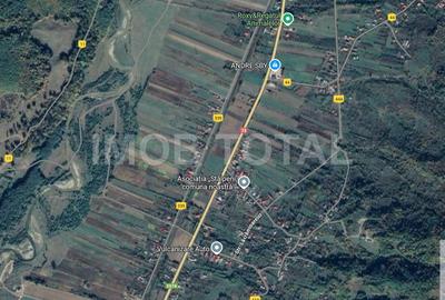 Teren 5400 mp , Stalpeni , sat Radesti - 2