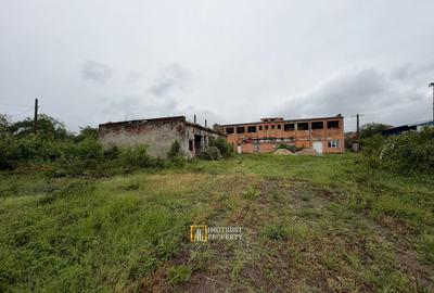 Hală industrială de vânzare – Sebiș, jud. Arad - 6