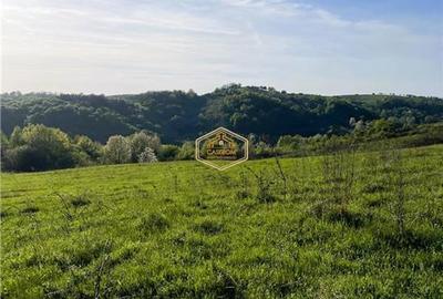 Teren de 9.500 mp in Maramures | Varf de deal, priveliste de pus in rama | Retre - 11