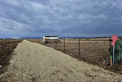 LOTURI TEREN INTRAVILAN -  BRASOV - 3