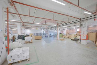 De vânzare spațiu industrial PGS Sofa, calea Borșului - 26