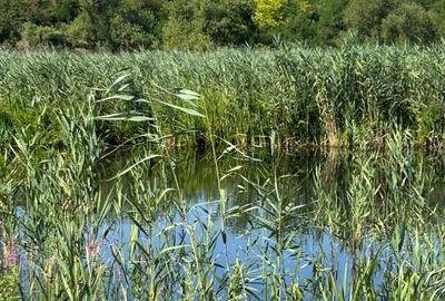 Teren cu deschidere la lac strada Orhideelor- conectare imediata la curent - 6
