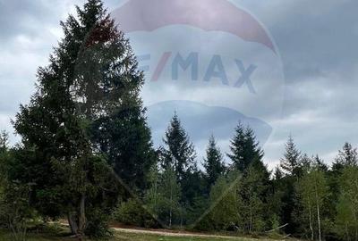 Teren extravilan parcelabil Călățele Pădure, zona Dealu Negru - 8