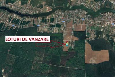 The Forest Collection - lot 500 mp | Padurea Snagov - Ciofliceni - COMISION 0% - 4