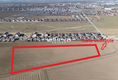 Teren 12.500 mp Ghimbav – Cartierul Florilor | Ghimbav | Brașov - 2