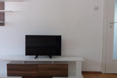 Inchiriez apartament renovat cu 2 camere decomandate - strada Paltinis - 9