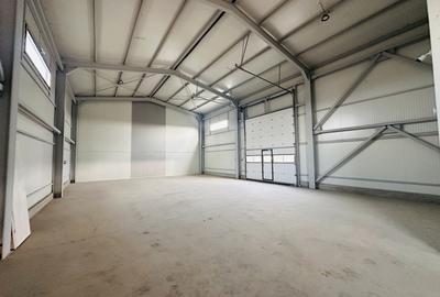 Hala industriala nouă, 386 mp, teren 900 mp, Domnești-Centura - 4