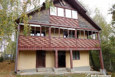 1.6 ha de padure cu poienita, parau la limita curtii, cabana pentru trei familii - 1