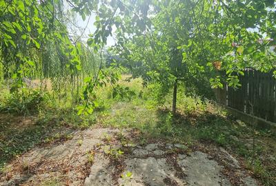 Teren la drumul European Botosani – Suceava - 4