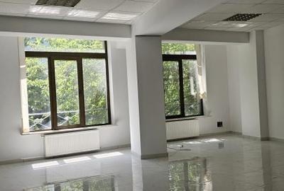 Imobil comercial de inchiriat - Bulevardul Doamna Ghica - 3