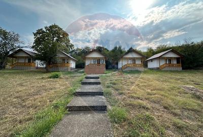 Popasul Tamboiesti - 17