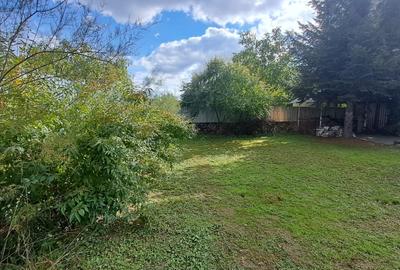 CASA cu anexa si spatiu comercial – de vanzare in BEIUS - 36