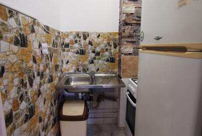 Gara de Nord, garsoniera, 1 minut metrou, mobilata, utilata, Pet Friendly - 13