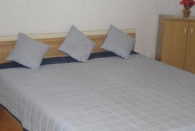 Apartament 2 camere zona Victoria mobilat utilat 50 mp - 3