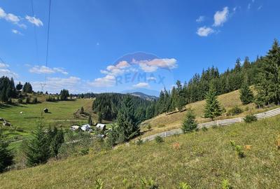Casă / Vilă de vacanta in Dorna Arini, Suceava - 59