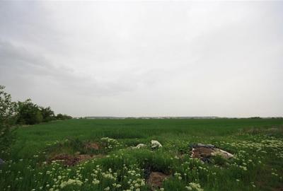 Teren Construcții intravilan de 12500 mp, în Tunari