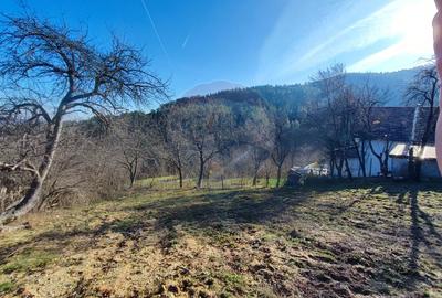 Teren intravilan de vânzare – Vale (Saliste), județul Sibiu - 1