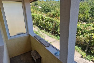 Casa in mediu rural cu teren - 22