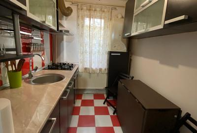 Apartament 2 camere parter mobilat si utilat,centrala, Alecu Russo - 3