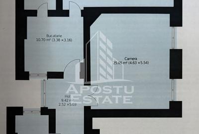 Apartament ultracentral in clădire reabilitată in Timisoara - 7