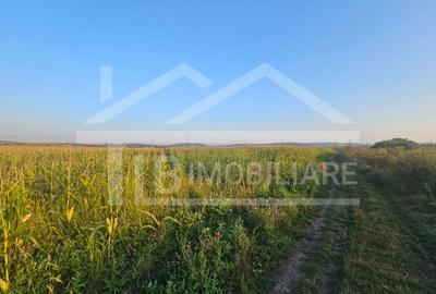 Teren intravilan, 1476 mp, Zona Ungheni - 4