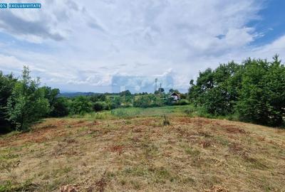 Teren Construcții intravilan de 5143 mp, în Central