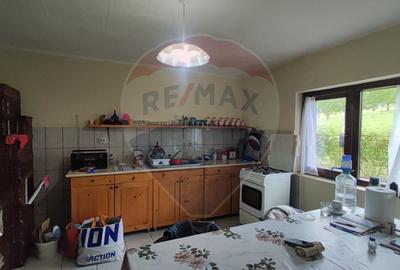 De vanzare casă cu teren 1,17ha la munte, Munteni, Bulz, spre Hiltop - 5