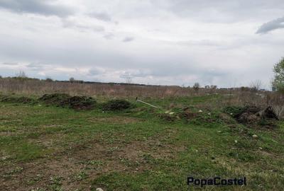 Sisesti str.Dirijorului (in capatul str.Al.Bratu) 1000 mp deschidere 18,27 ml - 7
