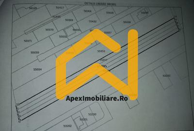 Catelu | Teren 5000MP | Intravilan | 15 Minute Metrou | OPORTUNITATE - 5