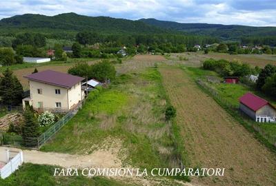 TEREN PRETABIL DEZVOLTARE REZIDENTIALA - 6