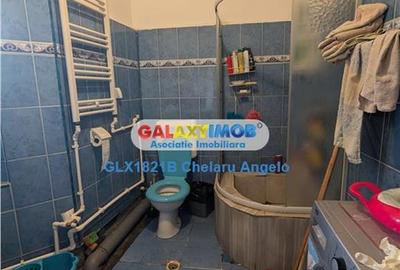 Calea Calarasilor,tot etaj 1  1, supr.util 200 mp,garaj,curte,pod inal - 17