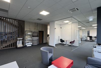 Spatiu birouri Clasa A - 220MP - Taietura Turcului - 1