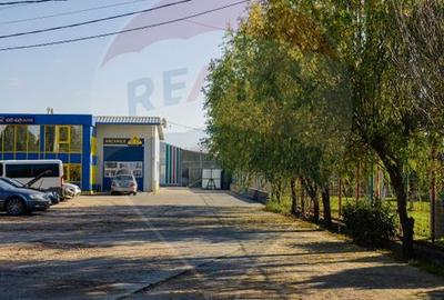 Spațiu industrial de 490mp de închiriat în zona Sud - 3