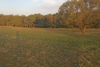 De vânzare teren extravilan langa Arcus - 6