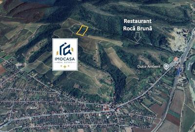 De Vanzare Teren extravilan 6722 mp Păuliș – zona Roca Bruna, Arad - 3