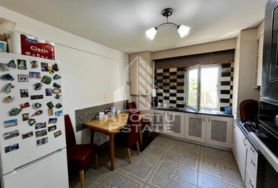 Apartament 2 camere de vanzare, zona Dambovita, Timisoara - 13