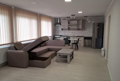 Carani [ Sanandrei ] – Casa 8  Camere – Teren