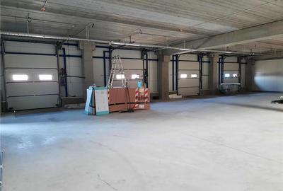 Spatiu Industrial - 5500 mp - Logistica - Productie - Depozitare - Distributie - 13
