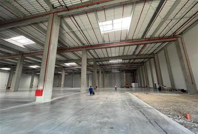 Inchiriere depozit/hala/spatiu industrial Theodor Pallady - Cernica - A2 - Manol - 15