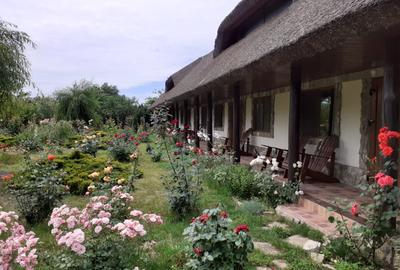 Pensiune agro-turistica in paradisul Deltei Dunarii - 10