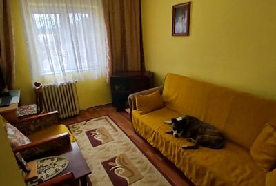 Comision 0 - Apartament cu 4 camere, etaj intermediar, in Pipirig - 10