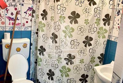 Casa cu 2 camere de inchiriat, zona Iosefin, Timisoara - 13