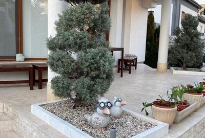 Clinica Medicala/ Policlinica - Centru Educational - 1