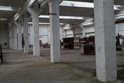 Hala   spatiu depozitare, zona Chiscani, suprafata 14450 mp - 4