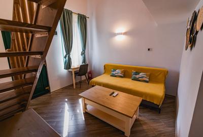 Afacere la cheie: Pensiune, Imobil 10 camere + 1 apartament, zona Iulius Mall - 6