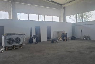 Hala de inchiriat. Depozitare sau productie. - 3