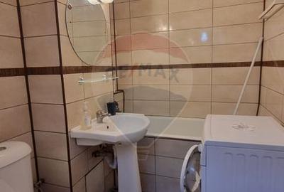 Apartament de inchiriat/2 camere/Banu Manta - 6
