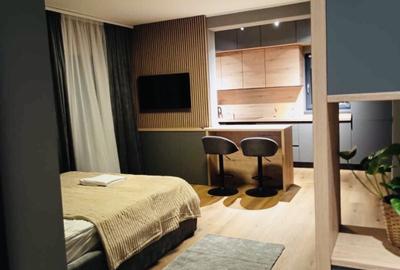 Garsonieră decomandată, mobilată în Dumbrăvița