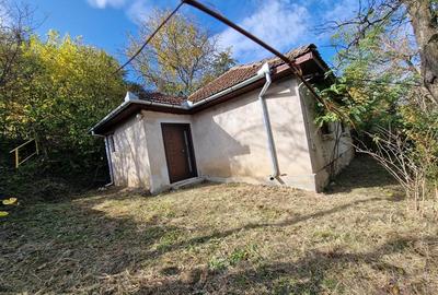 Resita Casa cu Teren privat 4670 Mp. - 12