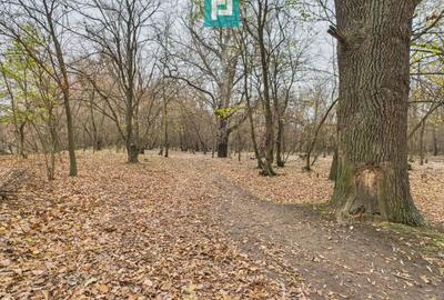 Teren pe malul Mureșului- oportunități multiple - 5